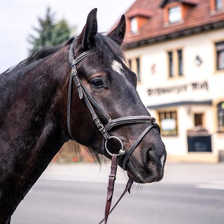 Отель Schwarzes Ross Arnsdorf  Экстерьер фото