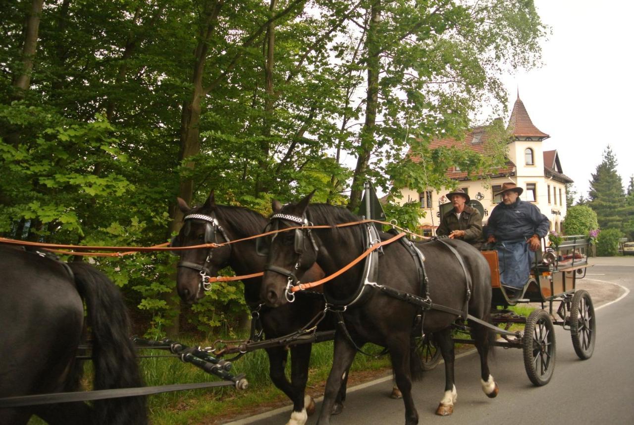 Отель Schwarzes Ross Arnsdorf  Экстерьер фото